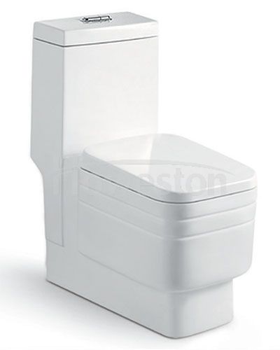 WC monobloc siphonique 9148